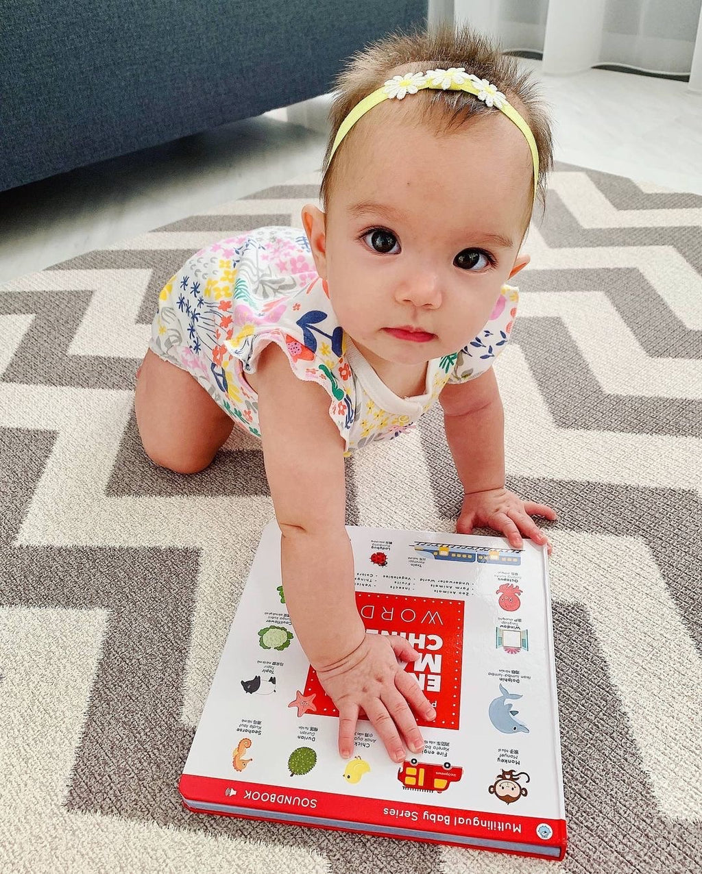 Press and Learn English Malay Chinese Words