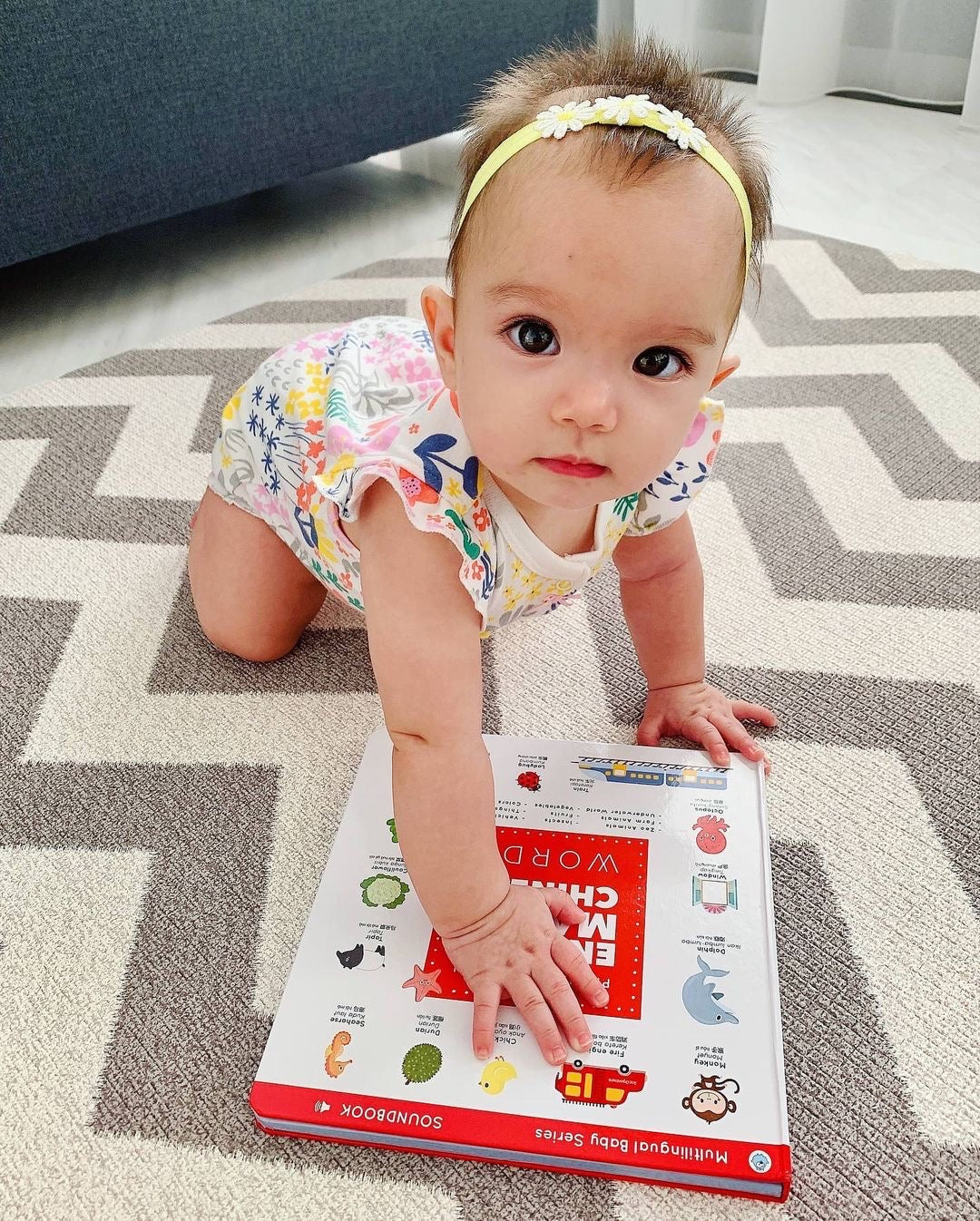 Press and Learn English Malay Chinese Words