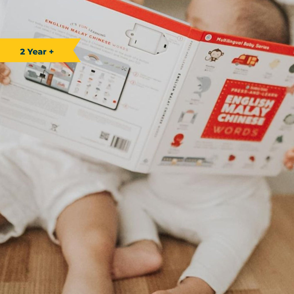 Press and Learn English Malay Chinese Words