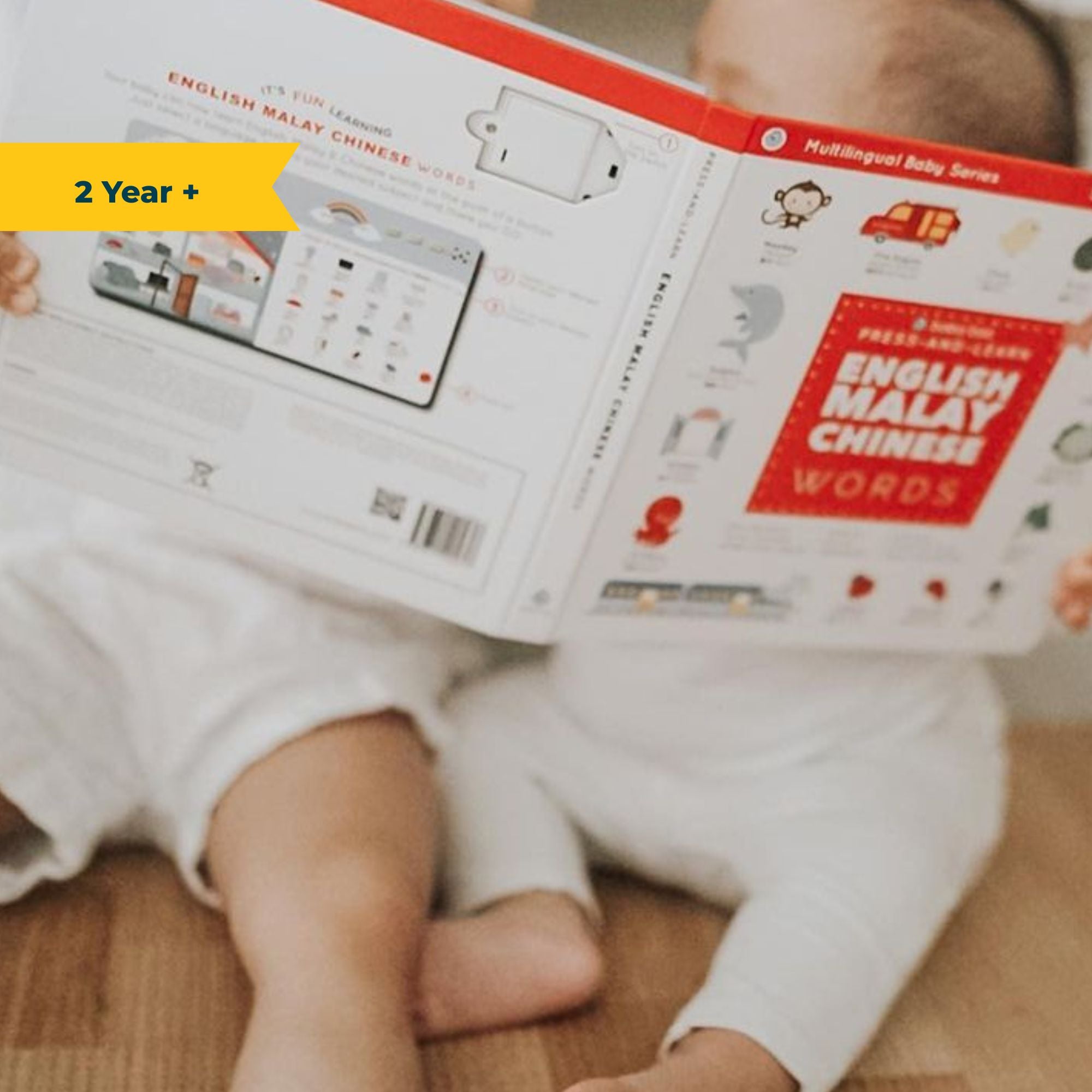 Press and Learn English Malay Chinese Words